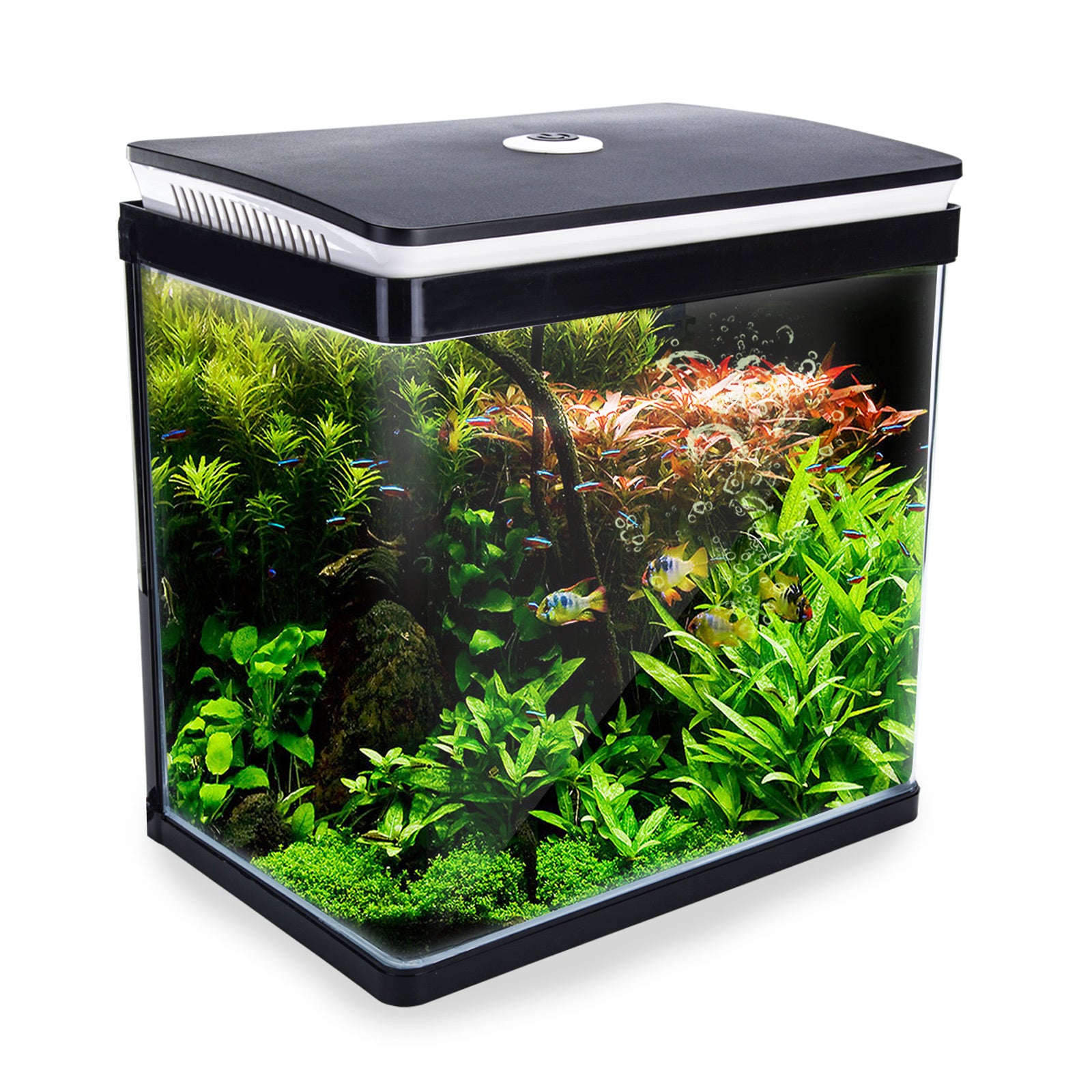 Reflective Fish Tank Aquarium Curved Glass RGB LED Fish Tank Set Filter Pump 30L – Pet Valley